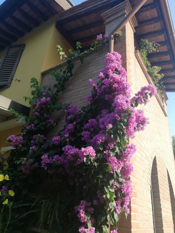 Alice'S Room By Casolare Isabella Ponsacco Exterior photo