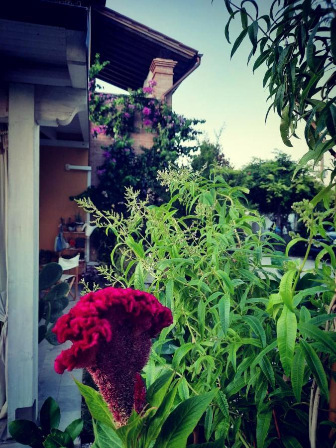 Alice'S Room By Casolare Isabella Ponsacco Exterior photo