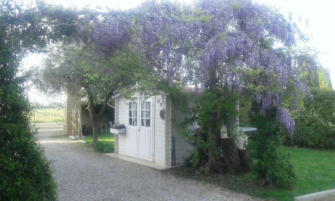 Alice'S Room By Casolare Isabella Ponsacco Exterior photo